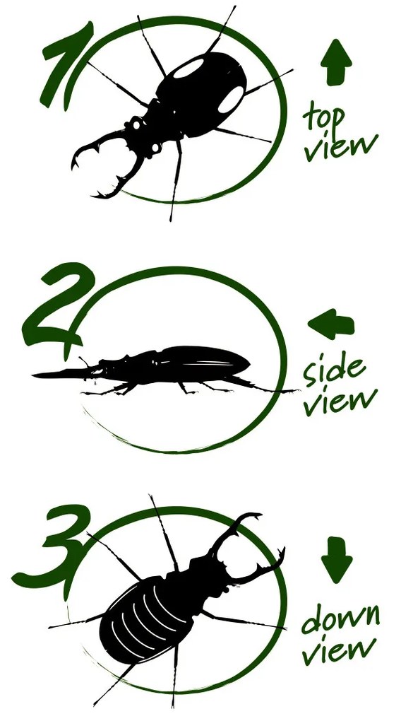 Navir - Explora - 3 Way Viewer