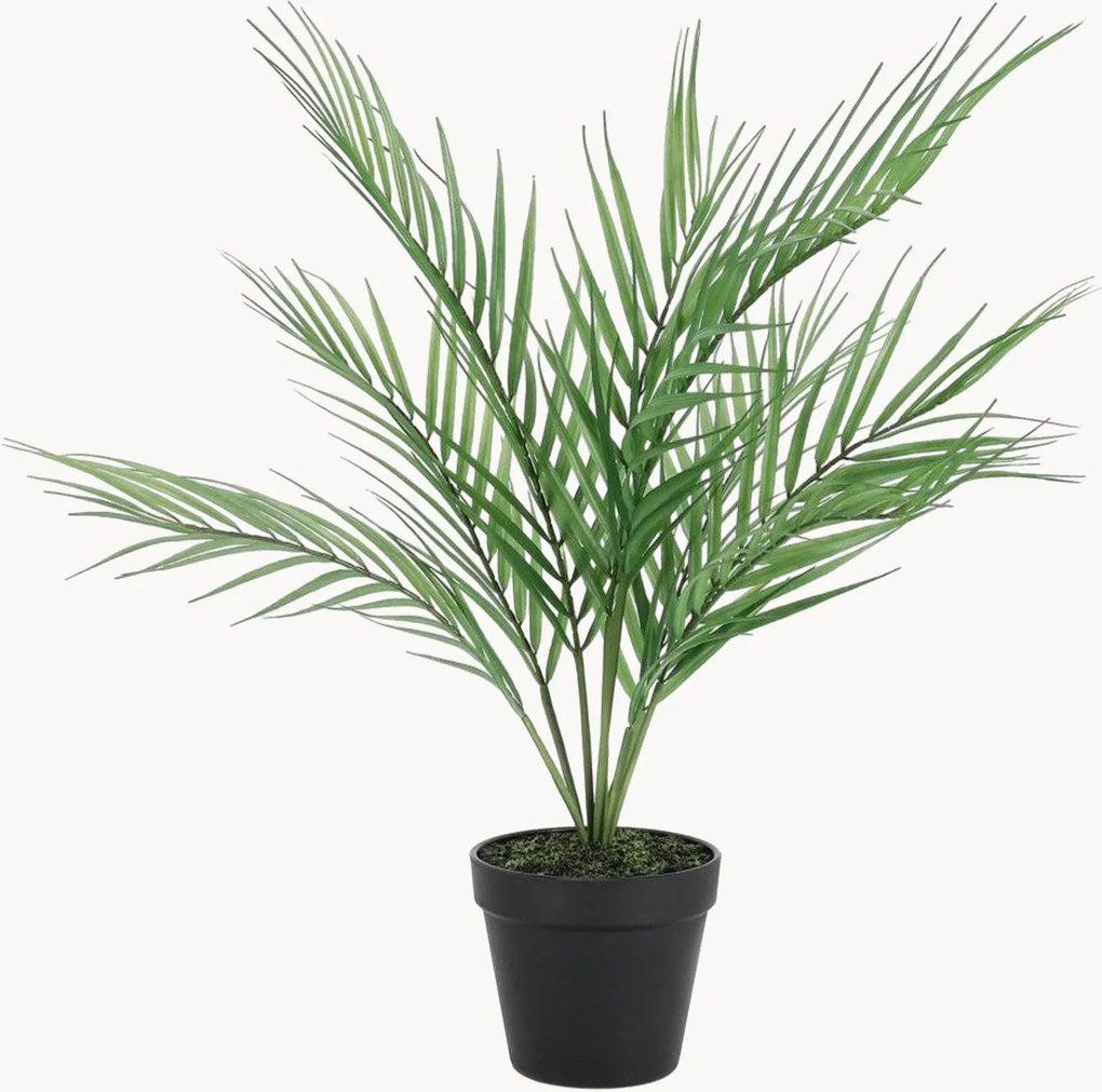 Pianta artificiale Palm Tree