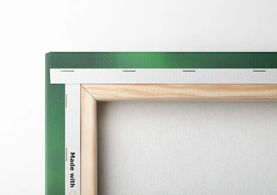 Quadro su tela – Straordinaria aurora verde