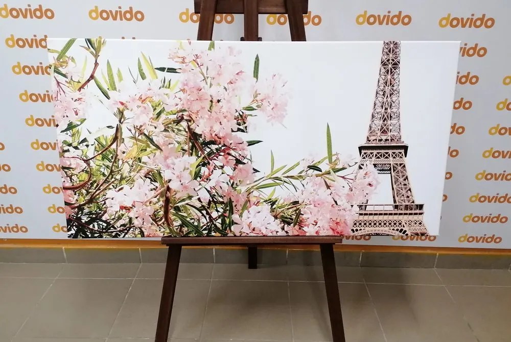 Stampa su tela – Torre Eiffel e fiori rosa