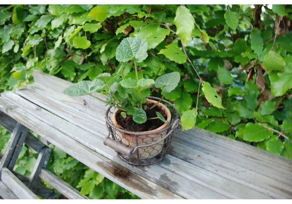 Vaso in terracotta ø 15 cm - Esschert Design