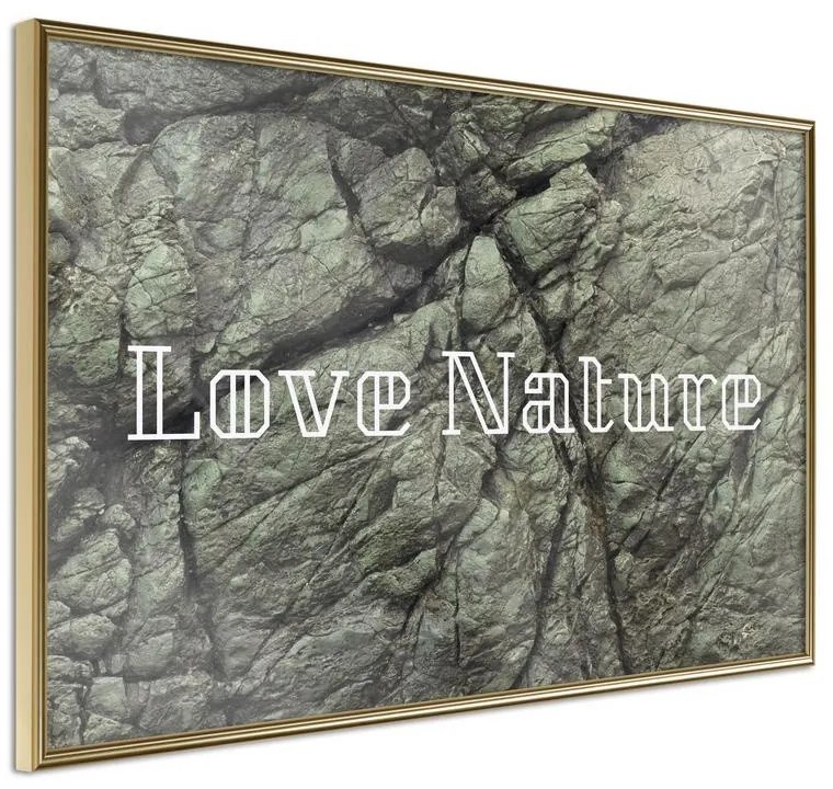 Poster  Nature  Cornice Quadri Cornice d'oro, Larghezza x Altezza Home decor 45x30