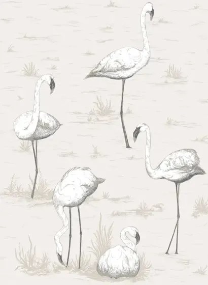 Cole & Son Carta da parati Flamingos - Charcoal
