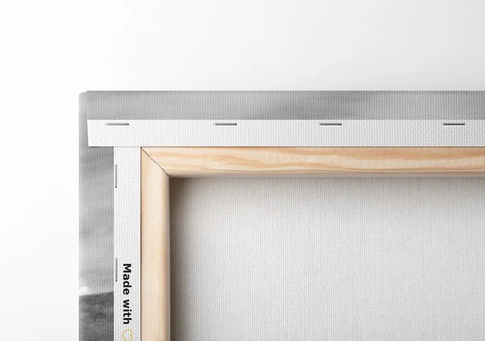 Quadro su tela – Auto in natura pittoresca in bianco e nero