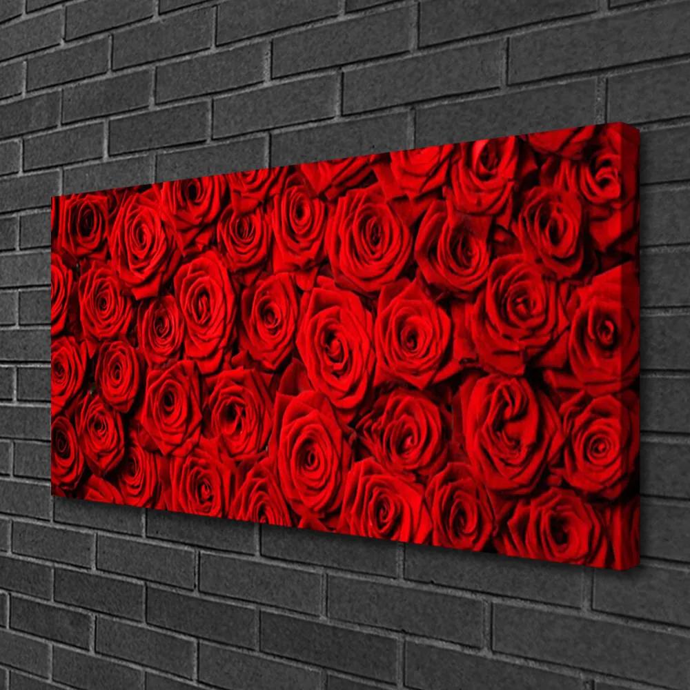 Quadro su tela Rose Sul Muro 100x50 cm