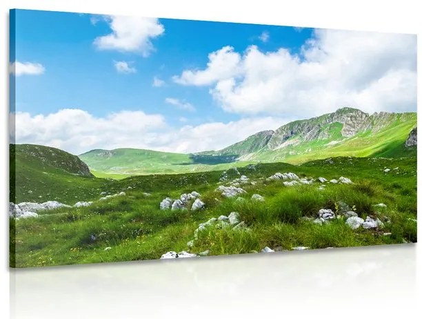 Stampa su tela – Valle in Montenegro