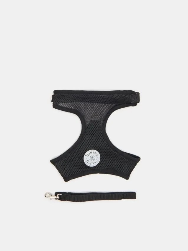 Sinsay - Pettorina e guinzaglio per cani - nero