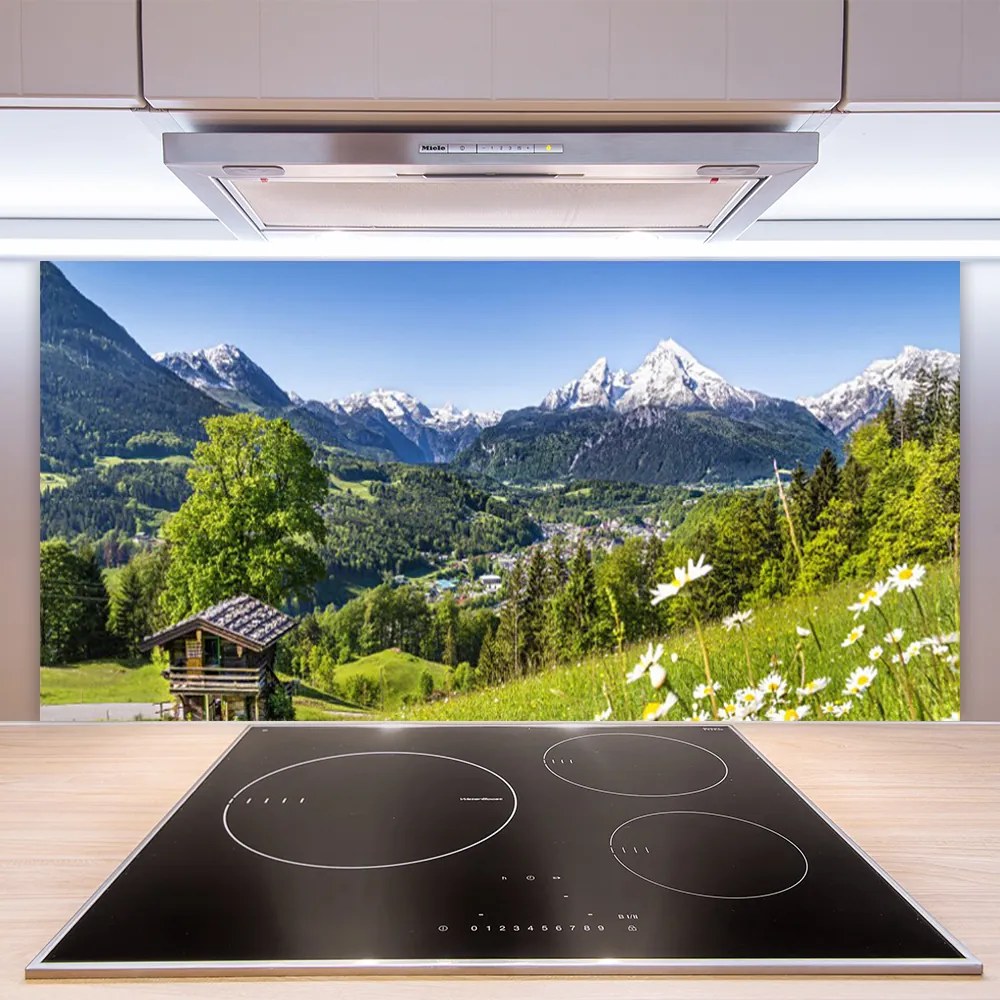 Pannello paraschizzi cucina Montagna del campo naturale 125x50 cm