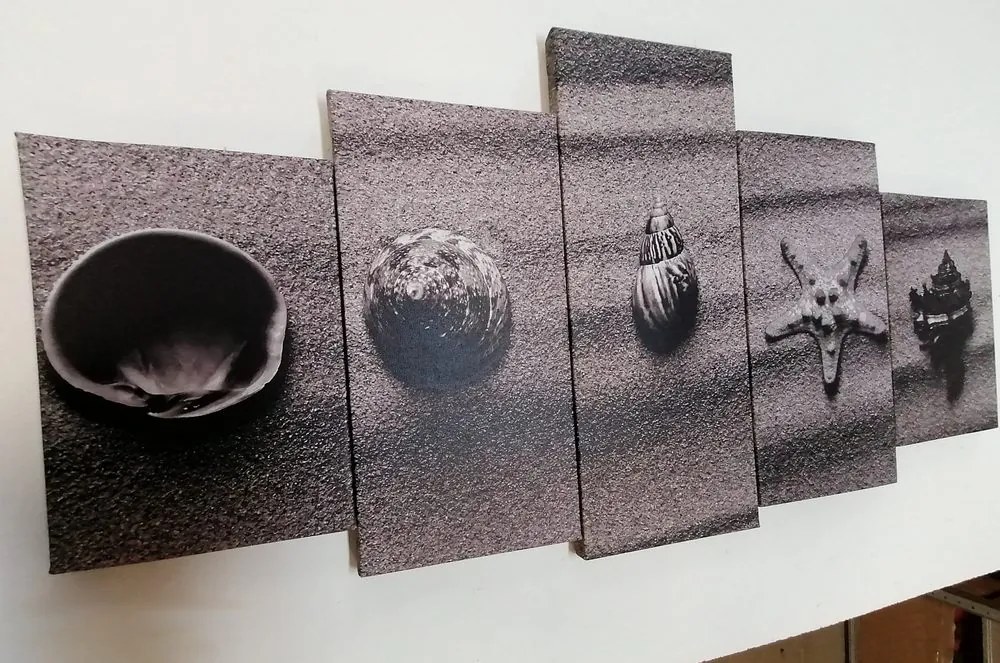 Quadri 5 pezzi – Conchiglie sulla spiaggia sabbiosa in bianco e nero