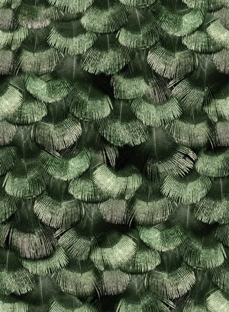 Rebel Walls Carta da parati Petite Peacock Plumage - Jade