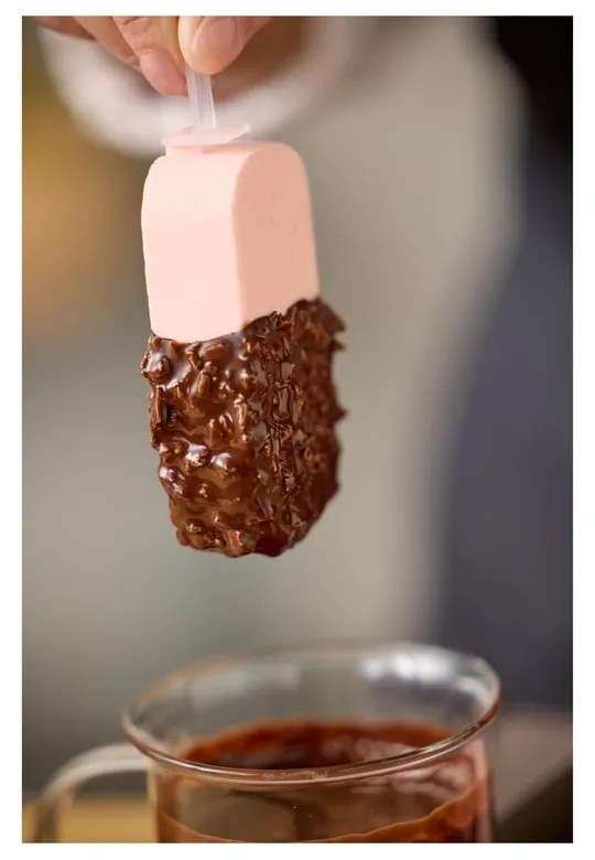 Stampo per ghiaccioli in silicone – Blomsterbergs