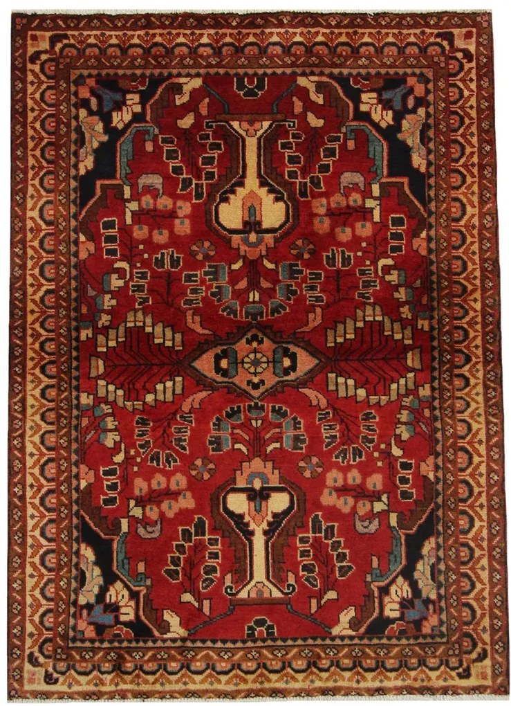Hamedan Tappeto persiano 160x110 (Iran)