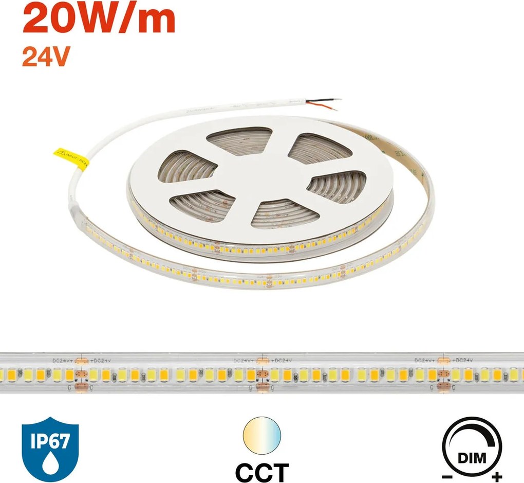Striscia LED CCT Bianco Variabile 24V 20W/m Professionale - IP67- 5 metri