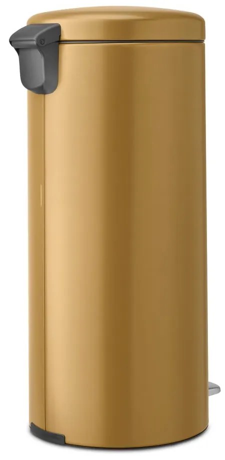 Cestino per la spazzatura dorato in acciaio con pedale 30 l NewIcon – Brabantia