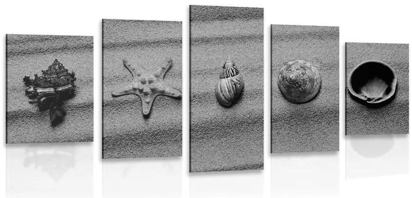 Quadri 5 pezzi – Conchiglie sulla spiaggia sabbiosa in bianco e nero