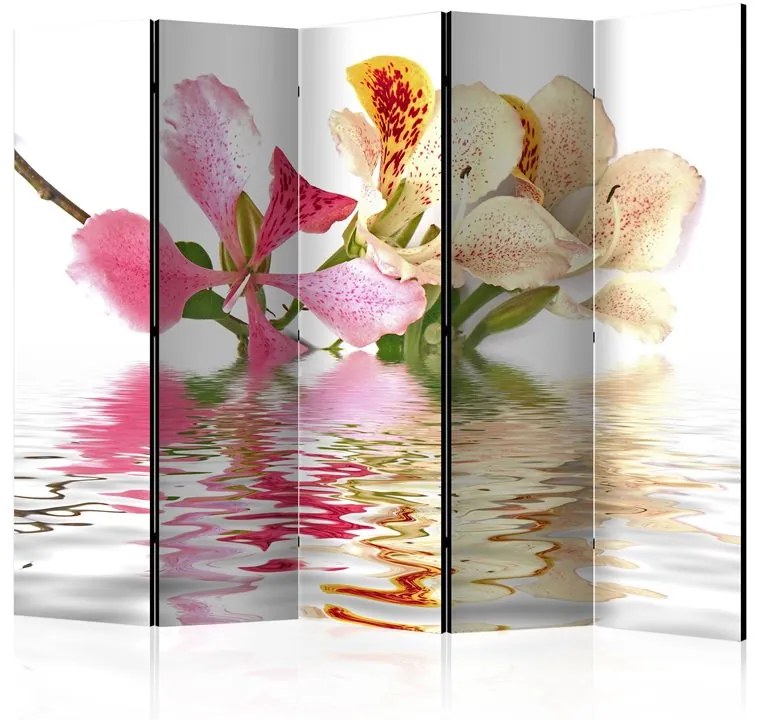 Paravento Tropical flowers orchid tree (bauhinia) II [Room Dividers]