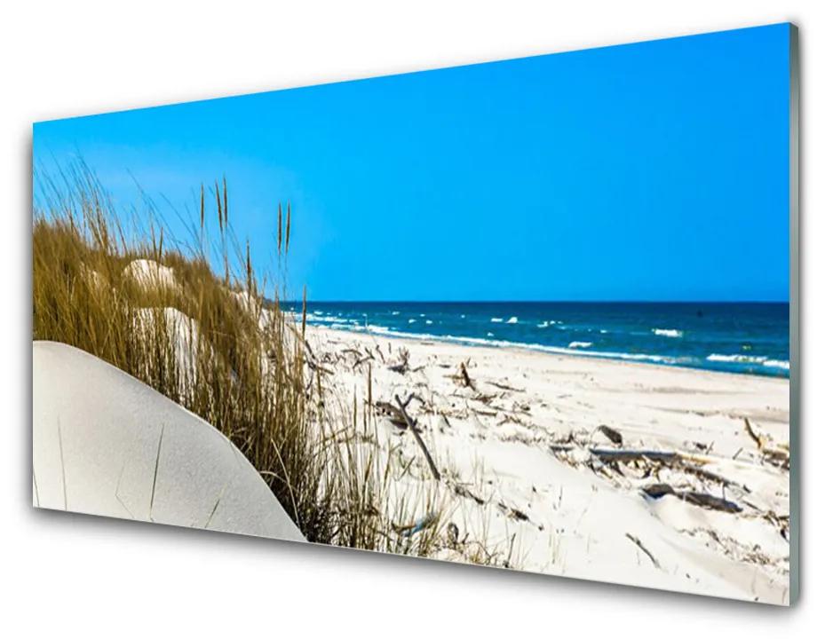 Quadro vetro acrilico Paesaggio da spiaggia 100x50 cm