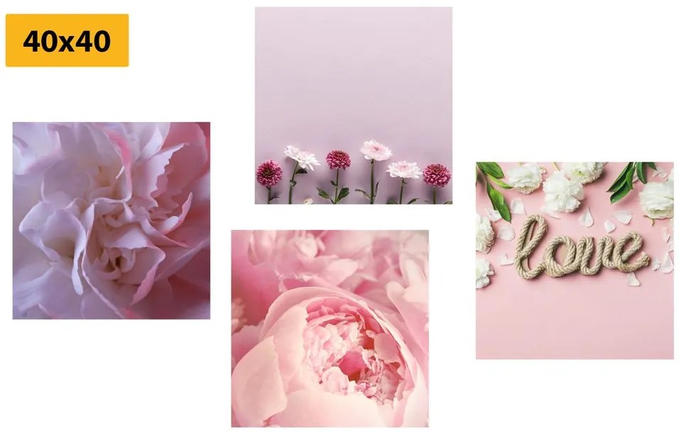 Set di quadri – Fiori in delicata tonalità rosa