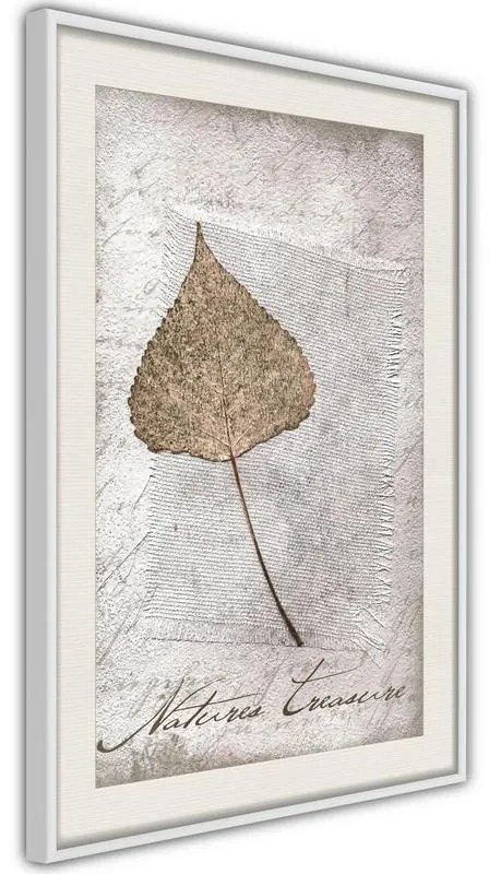 Poster  Dried Leaf  Cornice Quadri Cornice nera con pass-partout, Larghezza x Altezza Home decor 40x60