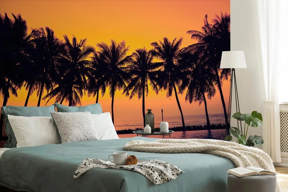 Carta da parati – Tramonto sulle palme