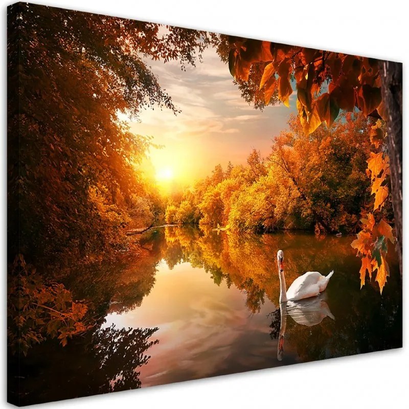 Quadro su tela, Cigno sullo stagno autunno  Dimensioni 120x80