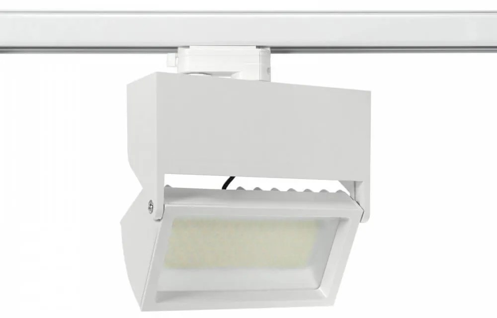 Faro Rettangolare 40W Dimmerabile Triac, Binario Trifase, 100° CCT Colore Bianco Variabile CCT