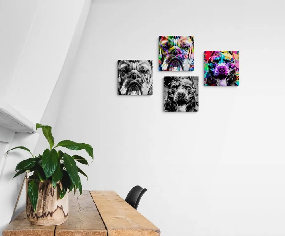 Set di quadri – Cani in stile pop art