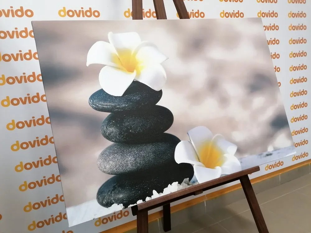 Quadro su tela – Pietre armoniche e fiore di plumeria