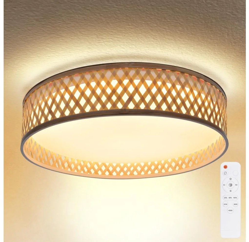Brilagi - Plafoniera LED dimmerabile CAMILA 48W 230V 3000-6500K + DO