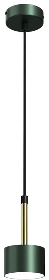 Lampadario su corda ARENA 1xGX53/11W/230V verde/oro