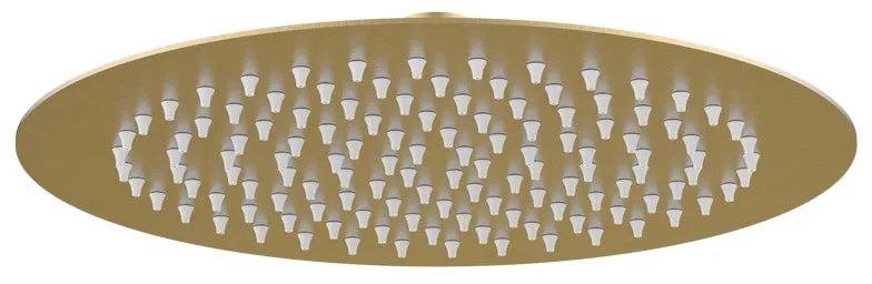 Soffione doccia AQUASANIT Cometa in inox oro 1 getto