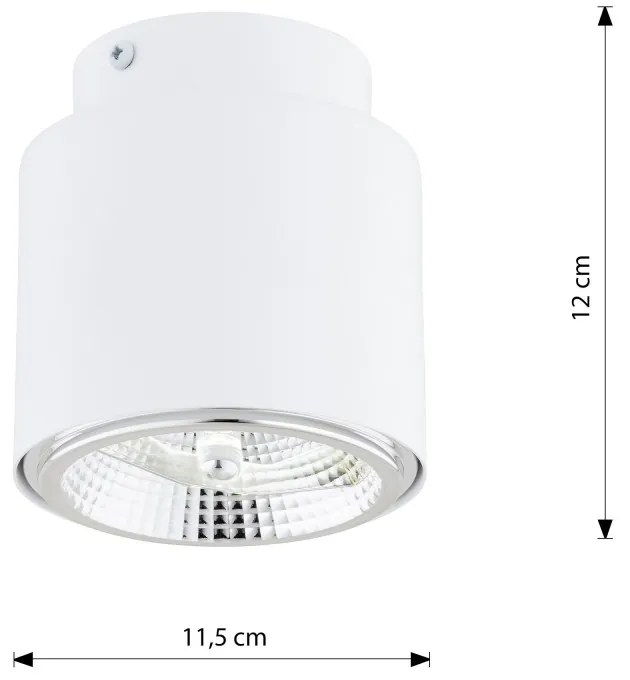 Lampada da Soffitto in Acciaio AR111 NANO 1 Bianco Colore del corpo Bianco