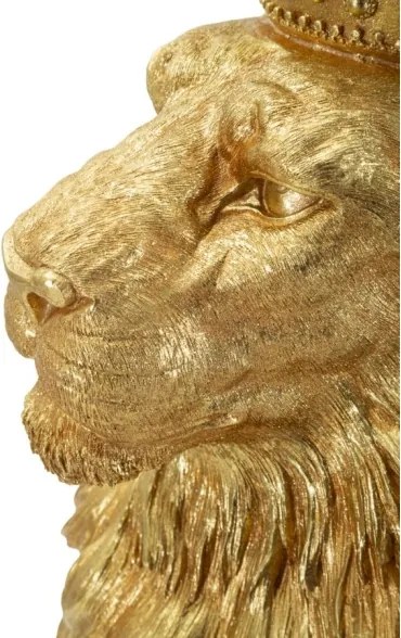 Re Leone Shant Cm 30X42X74