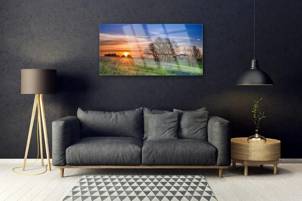 Quadro acrilico Prato, sole, paesaggio 100x50 cm