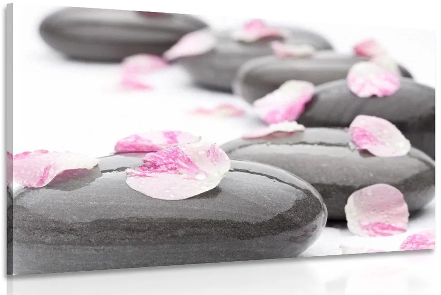 Stampa su tela – Petali su pietre wellness