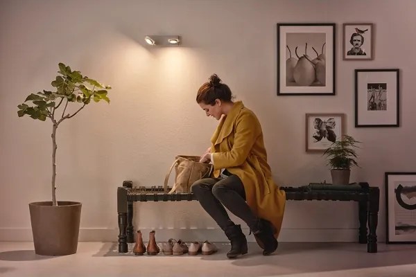 Philips 53192/48/P0 - Luce Spot a LED MILLENNIUM 2xLED/4,5W/230V