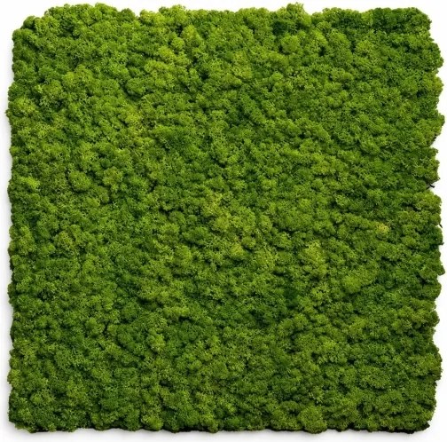 Pannello decorativo fonoassorbente acustico Set 2 pz 60x60 cm effetto muschio sintetico erba artificiale