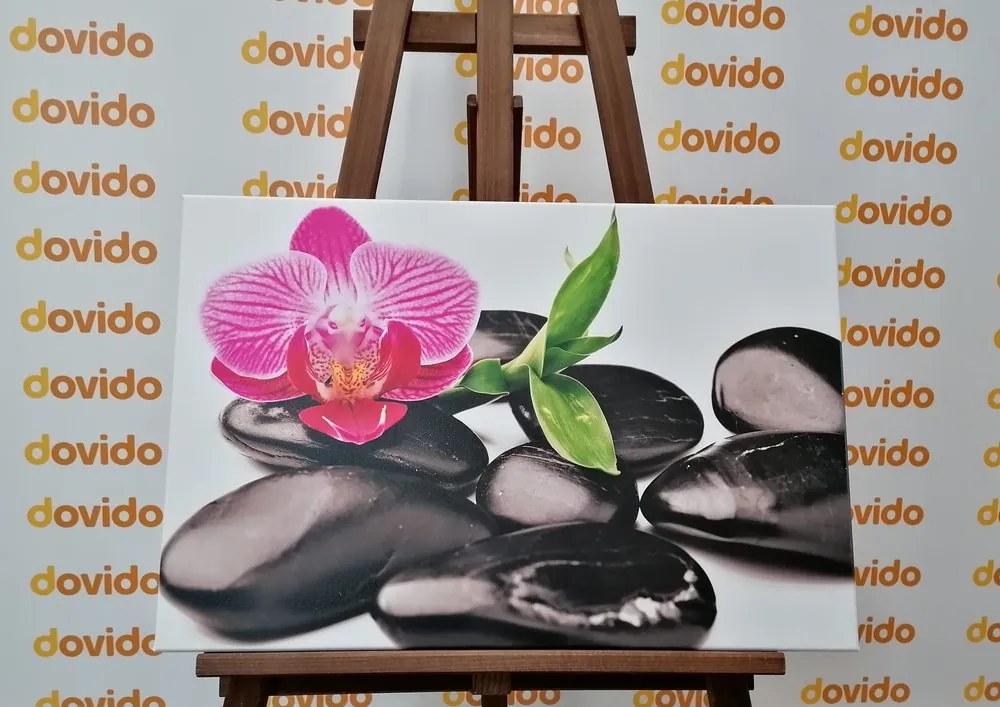 Quadro su tela – Pietre per il benessere massaggio