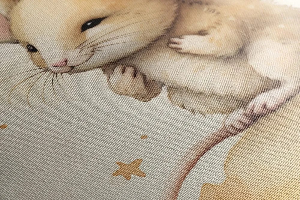 Quadro su tela – Topolino sognante