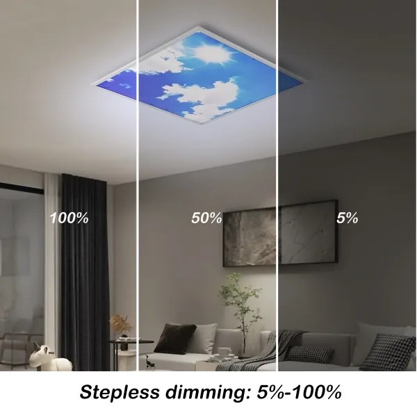 Brilagi-LED Pannello dimmerabile SLIMFRAME SKY LED/58W/230V 60x60 cm argento/blu + telecomando