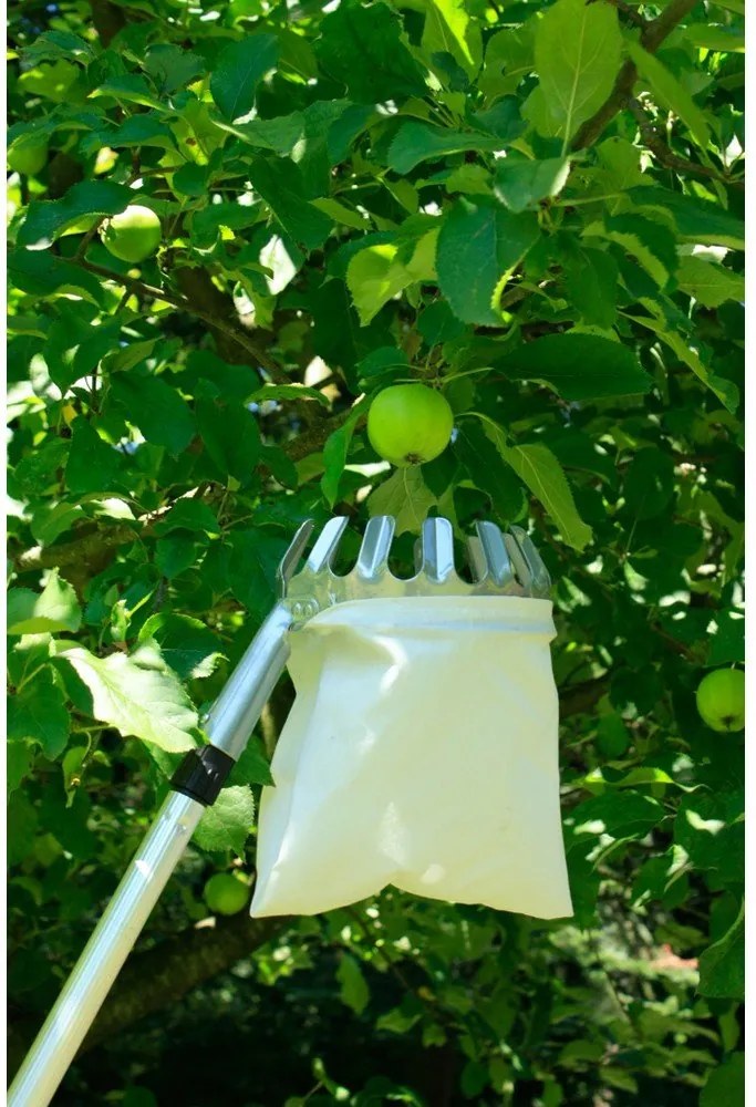 Coglifrutta - Garden Pleasure