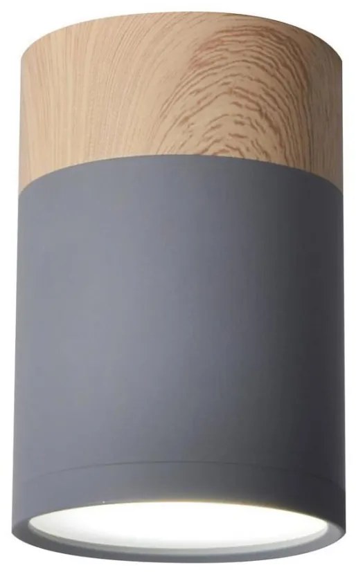 Plafoniera TUBA GU10/15W/230V