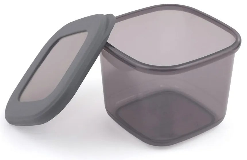 Set di contenitori per alimenti in plastica alimentari 12 pz Fresco – Hermia