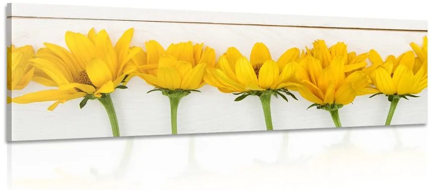 Quadro su tela – Fiori gialli stupendi
