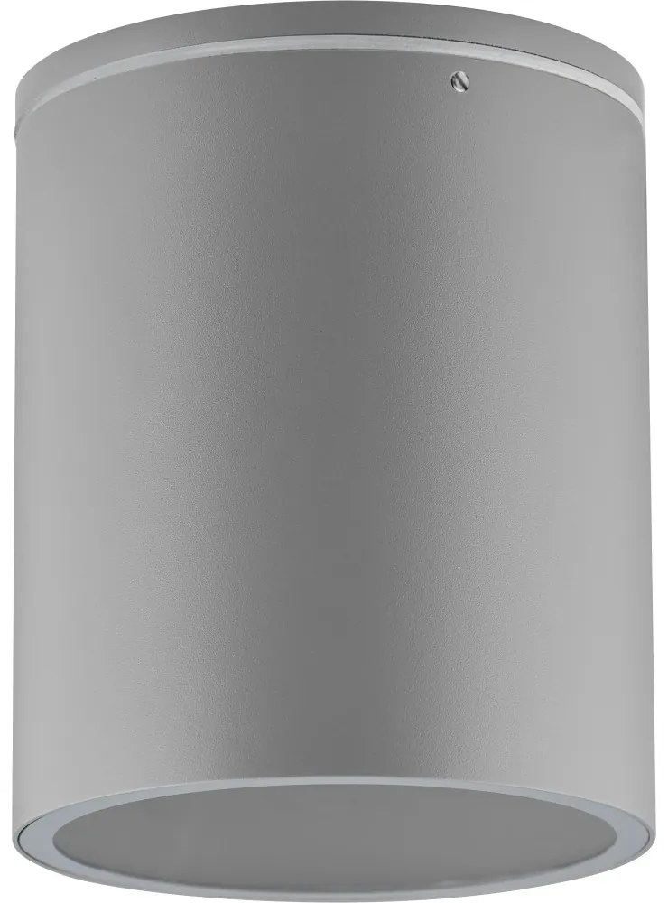 Applique da soffitto Cilindrica PAR30 IP54 in Alluminio e Vetro - Grigia Colore del corpo Grigio