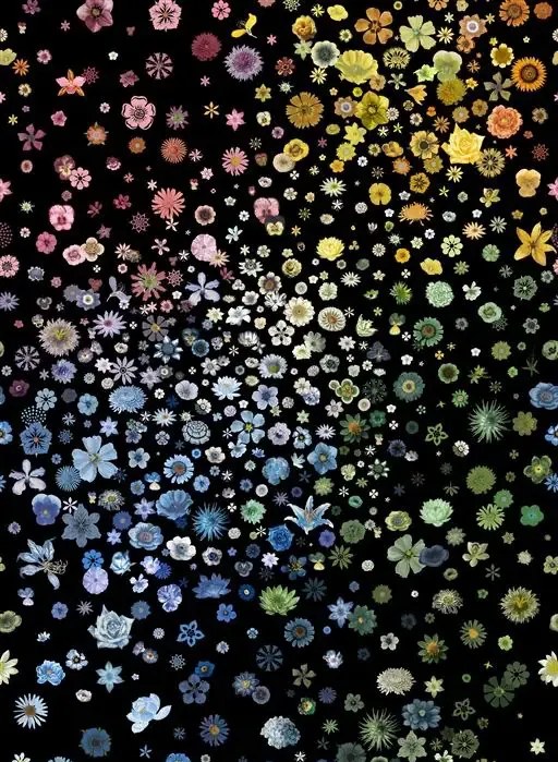 Christian Lacroix Carta da parati Jardin des Hesperides - Multicolore