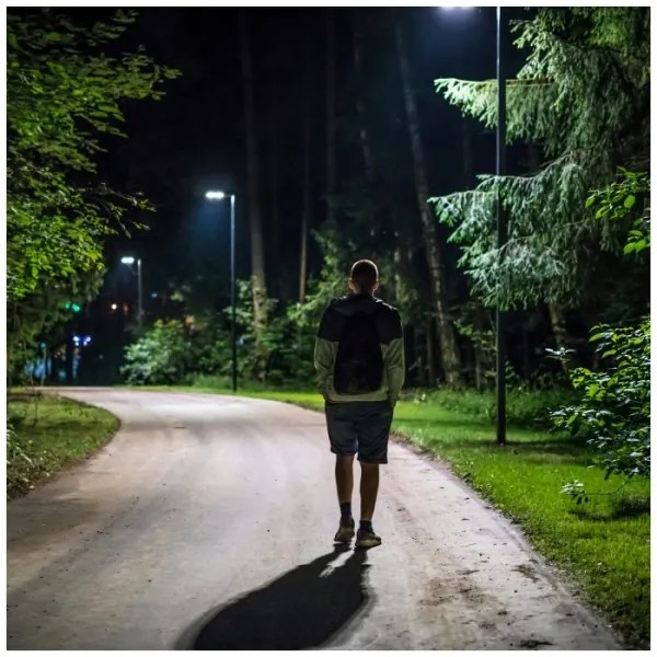 Lampada stradale solare LED con sensore URBI LED/8W/3,2V 6500K IP54 + +TC