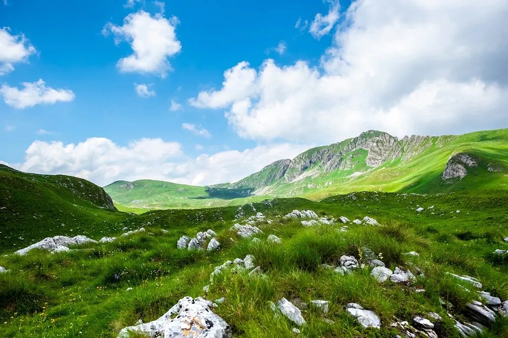 Carta da parati autoadesiva – Valle nel Montenegro