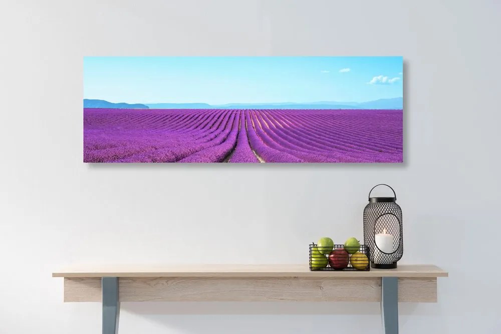 Stampa su tela – Campo di lavanda infinito