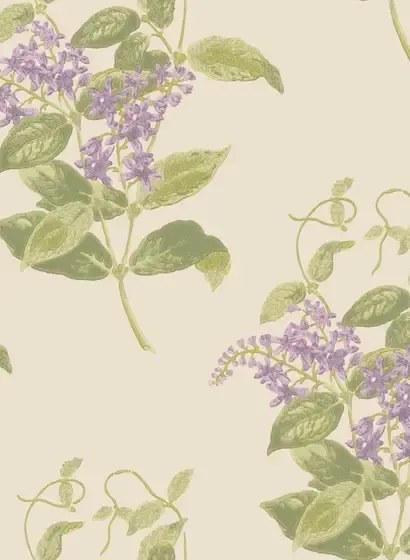 Cole & Son Carta da parati Madras Violet - Olive & Lavender